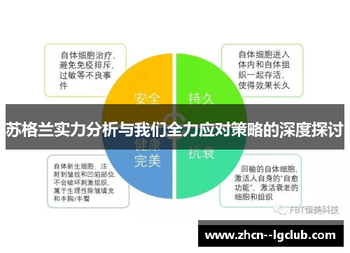 苏格兰实力分析与我们全力应对策略的深度探讨 苏格兰实力分析与我们全力应对策略的深度探讨